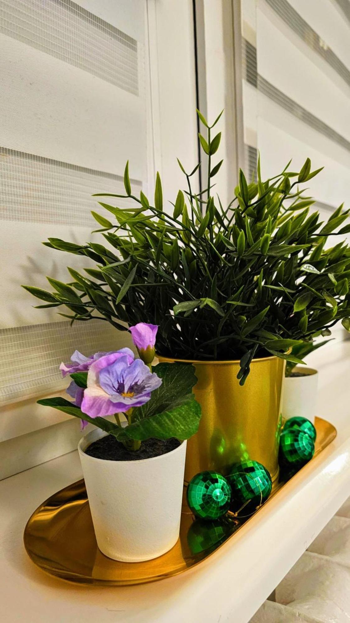 Apartament Zielona Przystan גדנסק מראה חיצוני תמונה